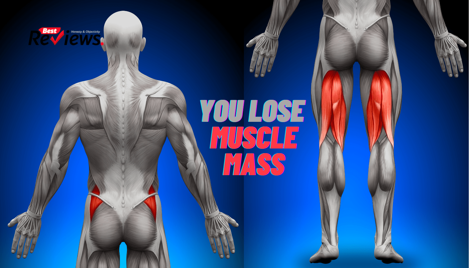 You lose muscle mass